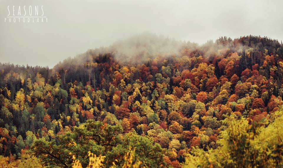 Georgia’s 10 mountainous places to visit in late autumn geotv.ge